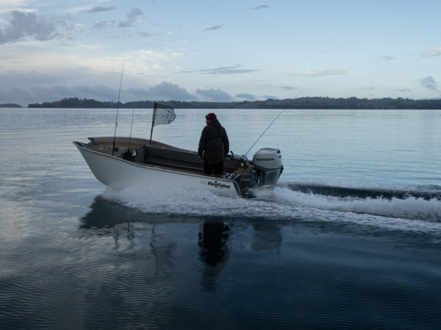 450 Tiller powercat