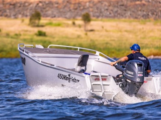 450 Tiller Powercat
