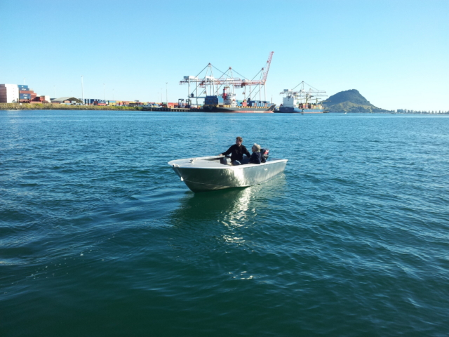 485 Monohull