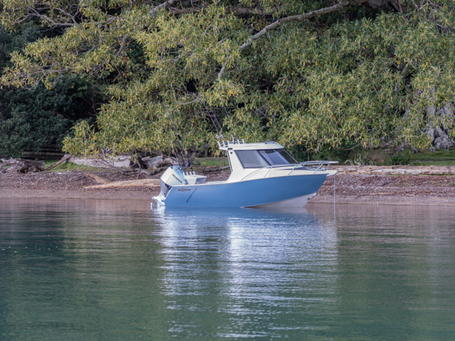 Kingfisher 605 – SLR 12
