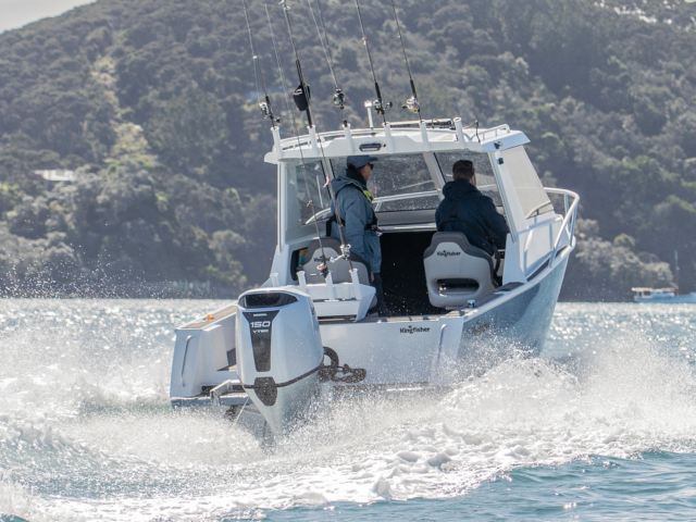 Kingfisher 605 – SLR 16