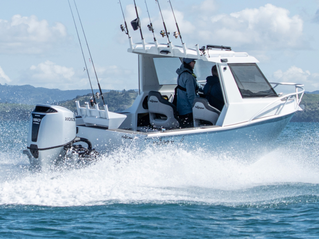 Kingfisher 605 – SLR 18