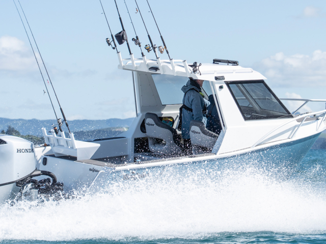Kingfisher 605 – SLR 19