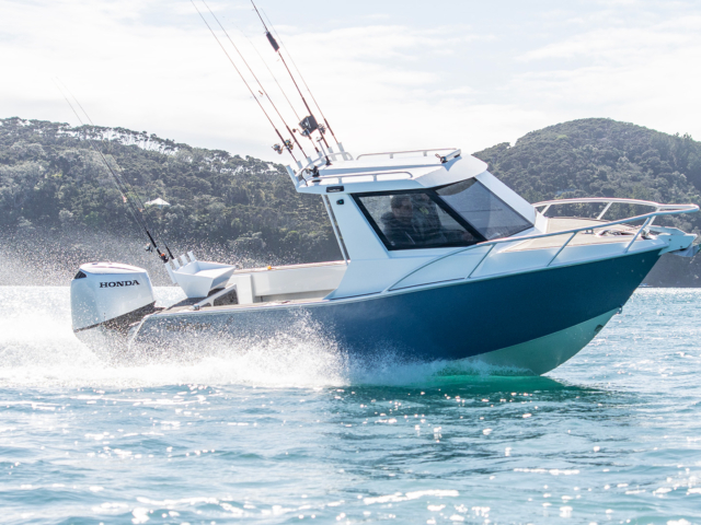 Kingfisher 605 – SLR 22