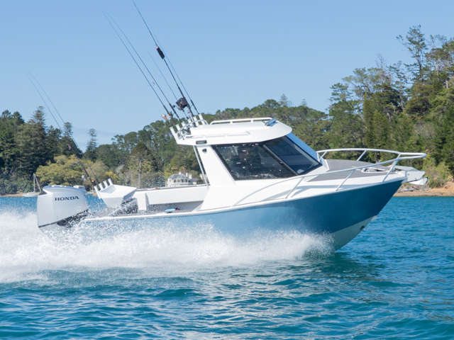 Kingfisher 605 – SLR 25