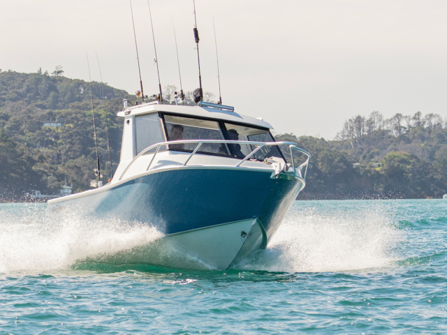 Kingfisher 605 – SLR 26