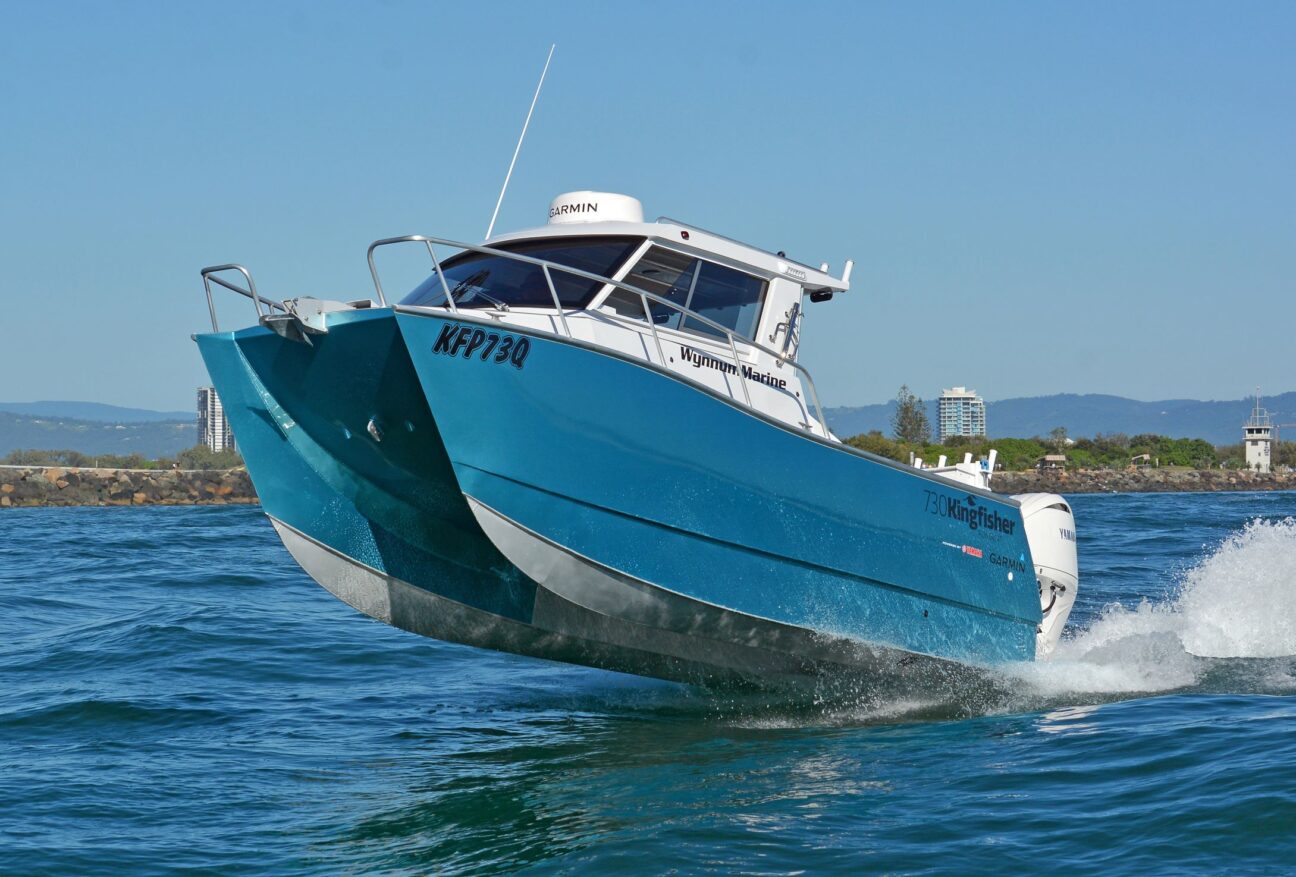730 Kingfisher in wave